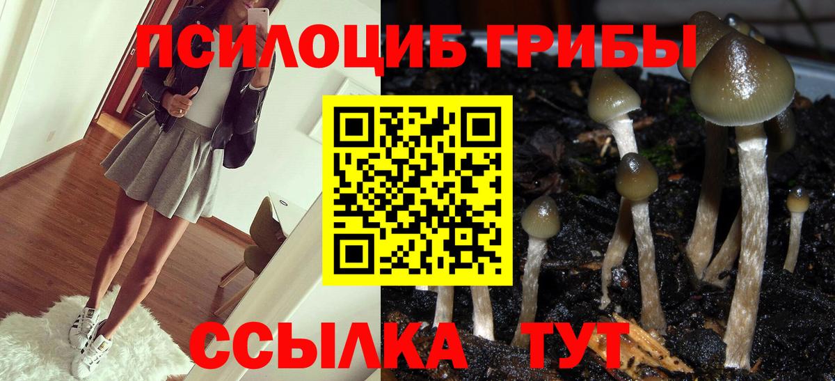 закладки  Галлюциногенные грибы мухоморы  Вход с VPN  Еманжелинск  Псилоцибиновые грибы Psilocybine cubensis 