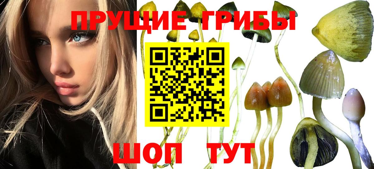Псилоцибиновые грибы MAGIC MUSHROOMS Еманжелинск
